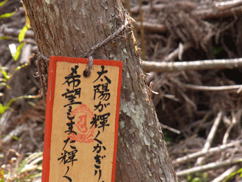 a0044453_11273024.gif