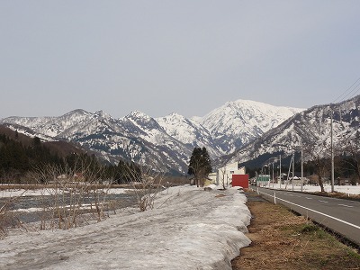 雪が消えてきました_a0084753_98130.jpg