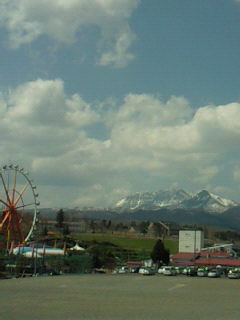 c0135458_89524.jpg