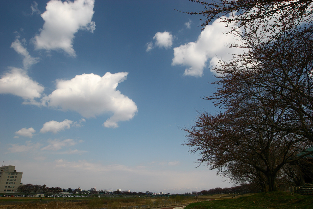 きもち良いお天気_e0138361_1830780.jpg