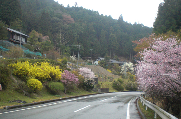 a0053063_1346739.jpg