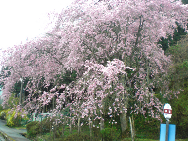 a0053063_13474577.jpg