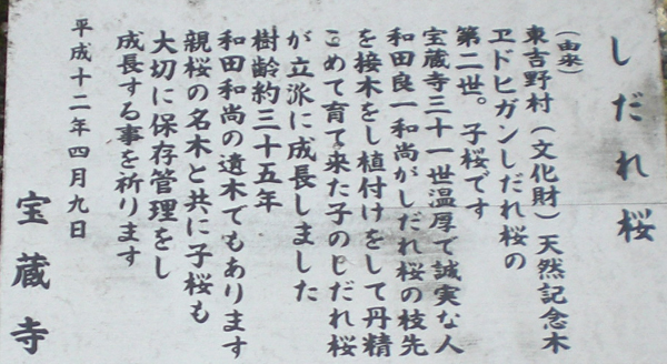 a0053063_13501340.jpg