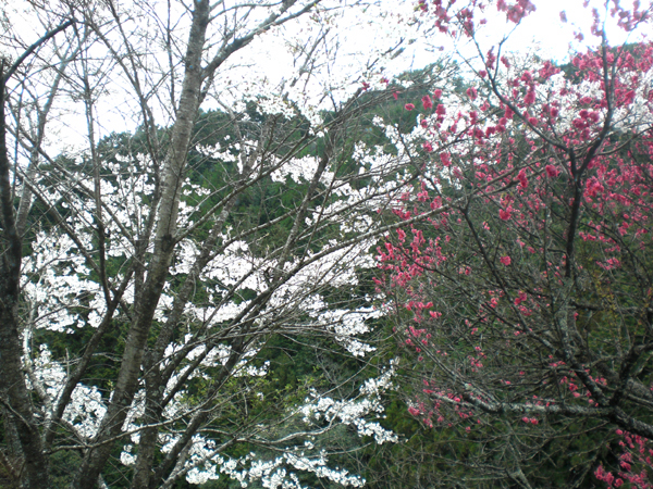 a0053063_13505417.jpg