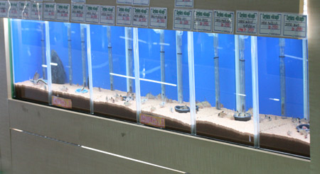 a0162263_2074332.jpg