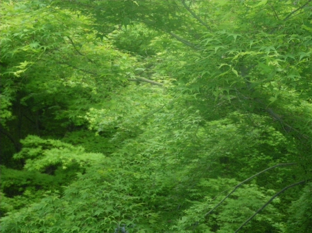 d0230563_21422182.jpg