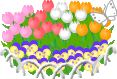 a0063364_23562865.gif