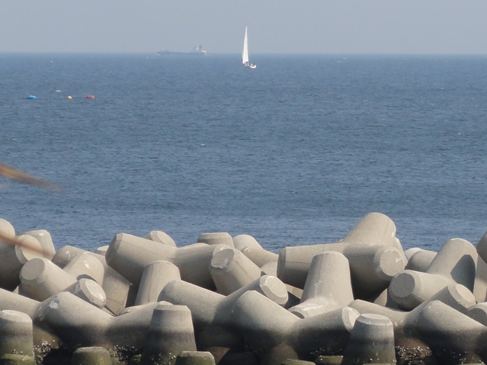 f0136675_01849.jpg