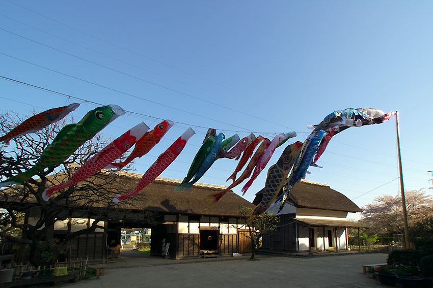e0153076_1833528.jpg