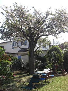 f0071477_23541550.jpg