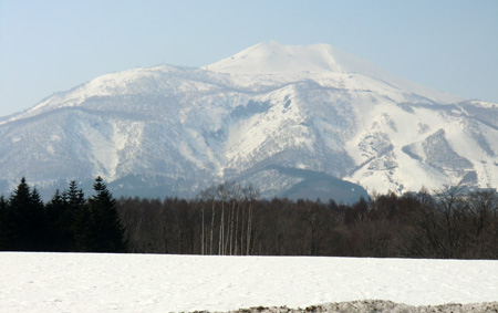 f0083977_235873.jpg