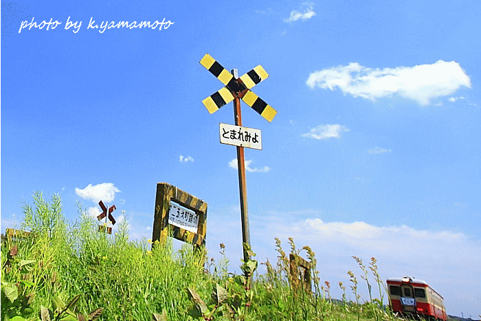 c0206178_23581535.gif