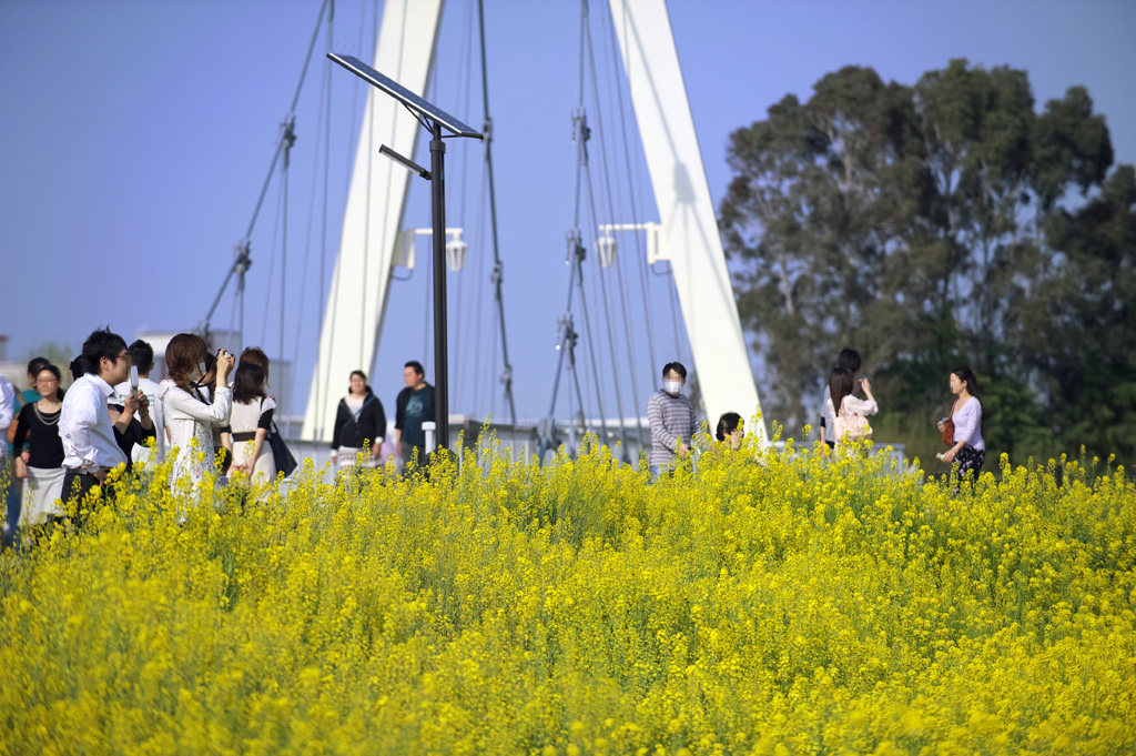 独男の休日 2011.04.16 2_f0085878_11183537.jpg