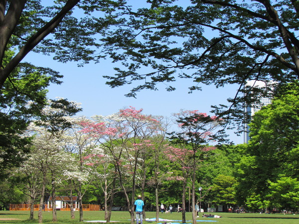 a0137279_82291.jpg