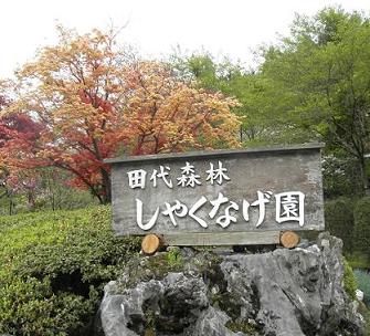 f0101679_041431.jpg