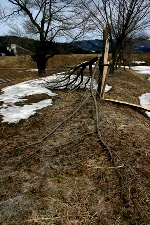 c0057781_13403886.jpg
