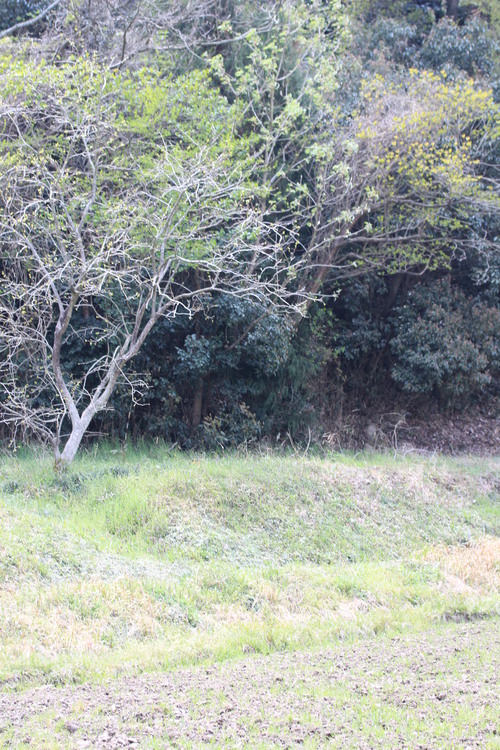 e0024081_15283364.jpg