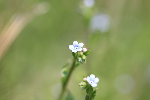 e0024081_15304173.jpg