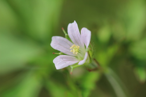 e0024081_15325129.jpg