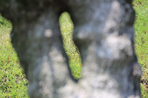 e0024081_1534935.jpg