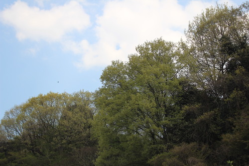 e0024081_1542482.jpg