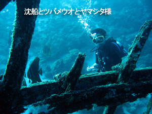 久しぶりのシミランロングクルーズ♪_f0144385_23341646.jpg