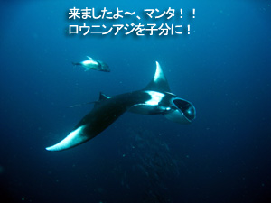 久しぶりのシミランロングクルーズ♪_f0144385_2336287.jpg