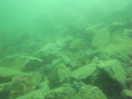 f0151886_1757254.jpg