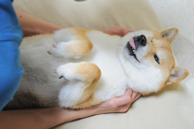 愛されるって・・・_a0126590_2354429.jpg