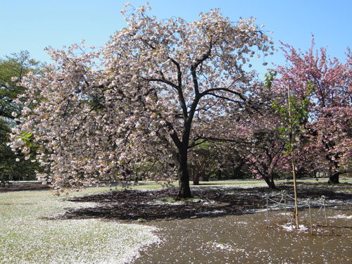e0153994_20231537.jpg