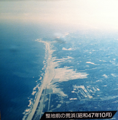 a0079098_14484830.jpg