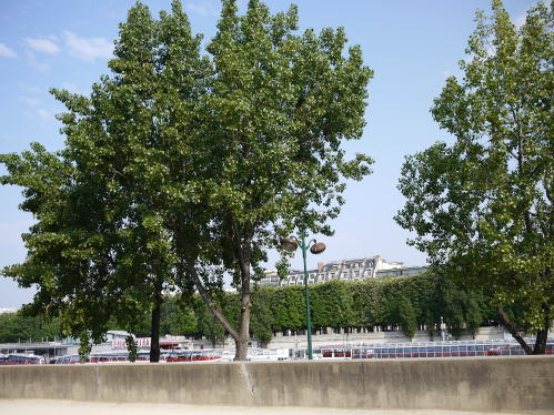 c0090198_255688.jpg