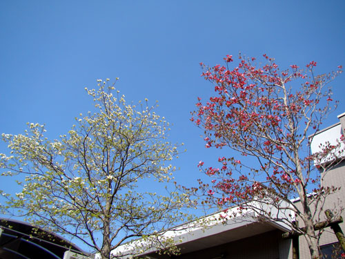 女子大生気分_a0047200_12181972.jpg
