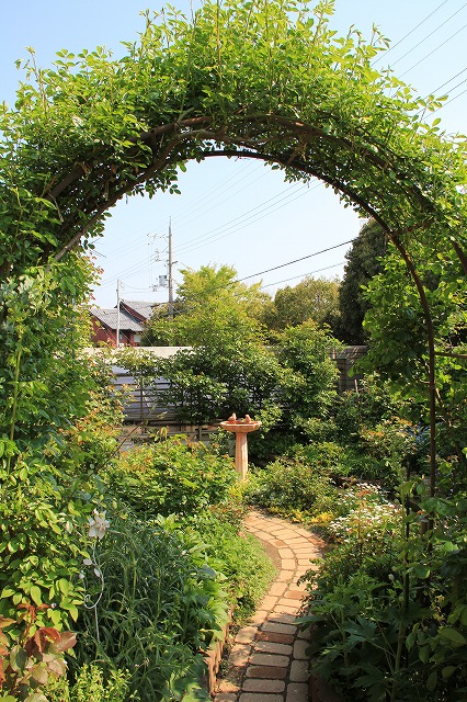 a0123003_921184.jpg