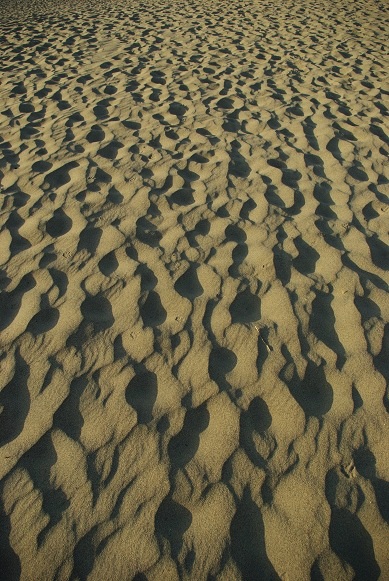 f0038904_1003913.jpg