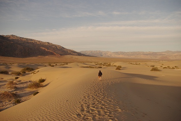 f0038904_100440.jpg