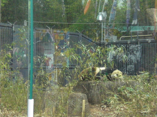 f0225108_21585822.jpg