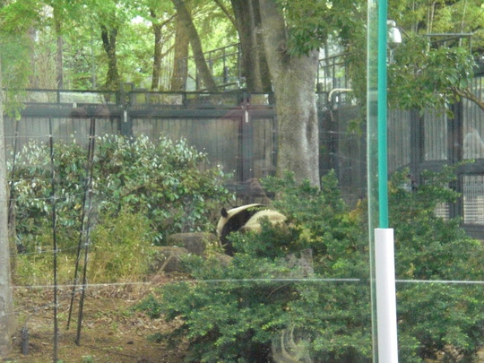 f0225108_2213369.jpg