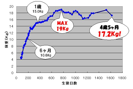 4歳5ヶ月を過ぎていますが･･･(体重速報)_c0113109_0151385.jpg