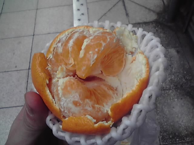 d0153509_12111356.jpg