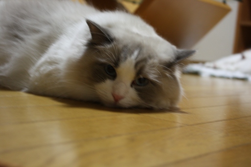 d0126813_0292283.jpg
