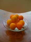 Oranje＆Yellow_f0201116_23173893.jpg