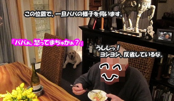 モカたん_e0192217_9463319.jpg
