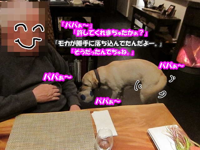 モカたん_e0192217_9521879.jpg