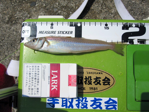 b0186119_1646445.jpg