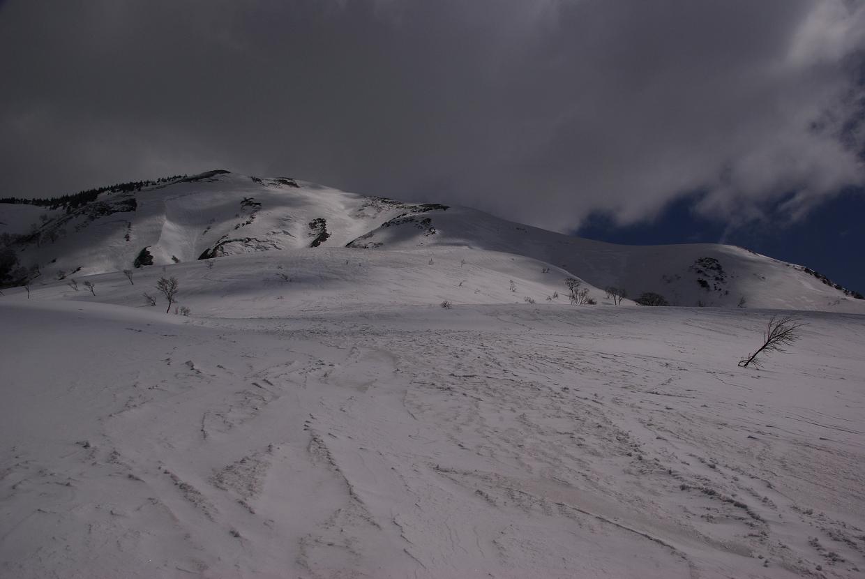 b0062024_8492275.jpg