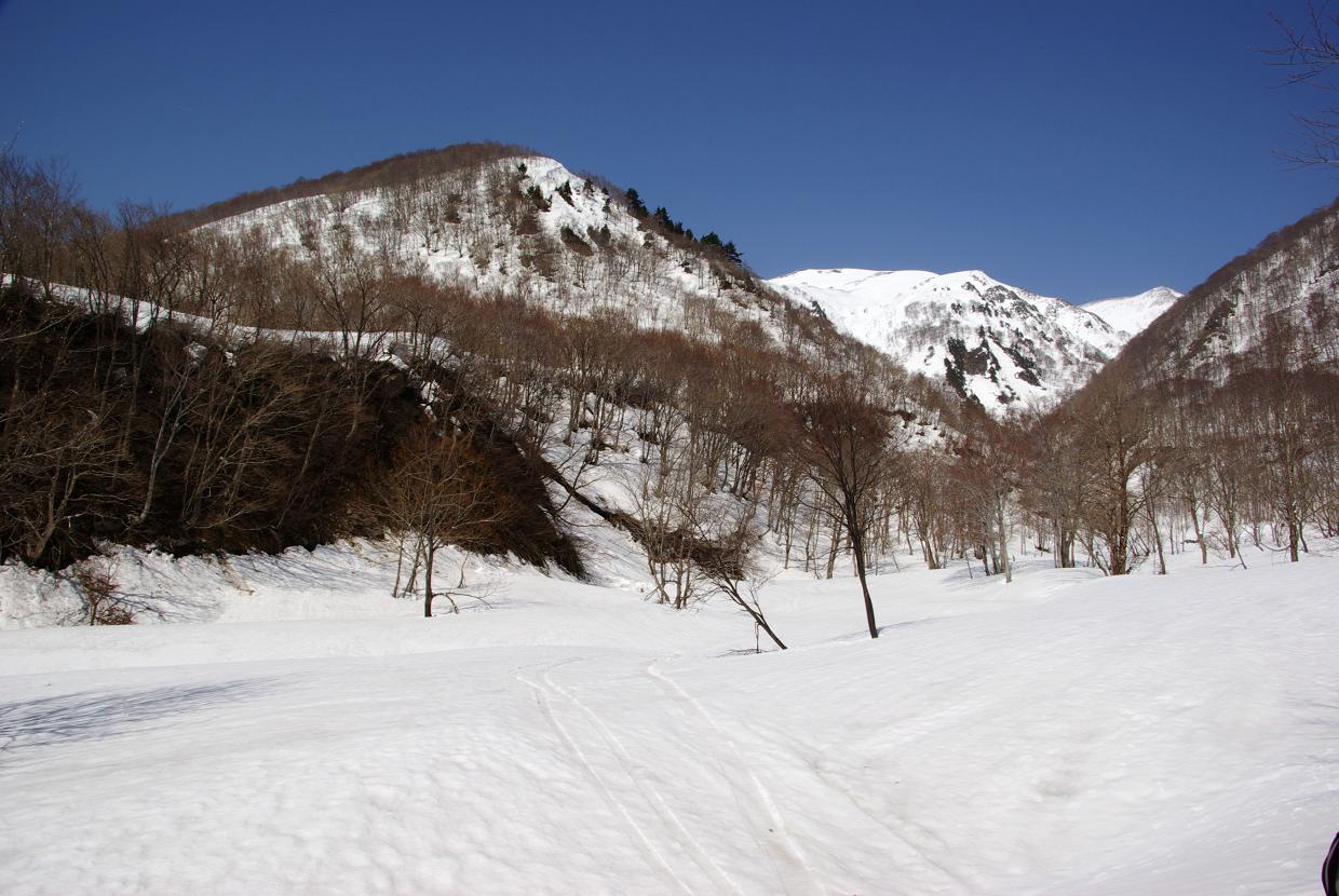 b0062024_9135472.jpg