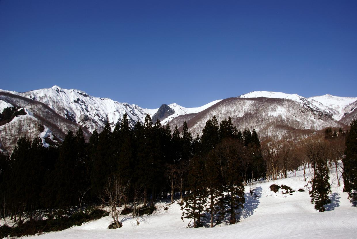 b0062024_9164852.jpg