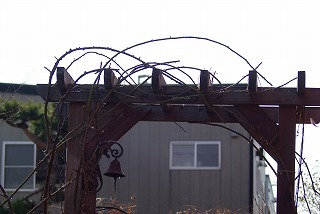 f0170524_16175412.jpg