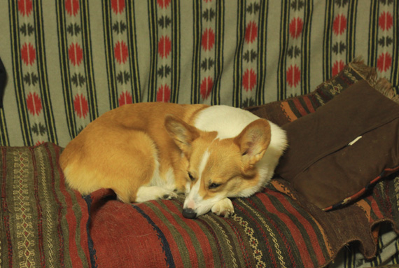 e0071225_125436.jpg